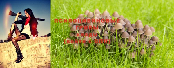 гидра Абдулино