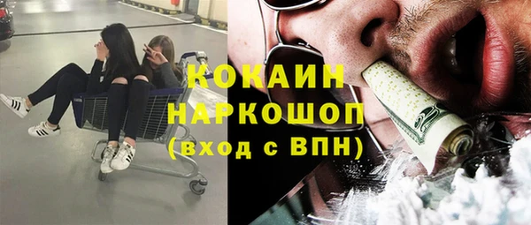 хмурый Алзамай