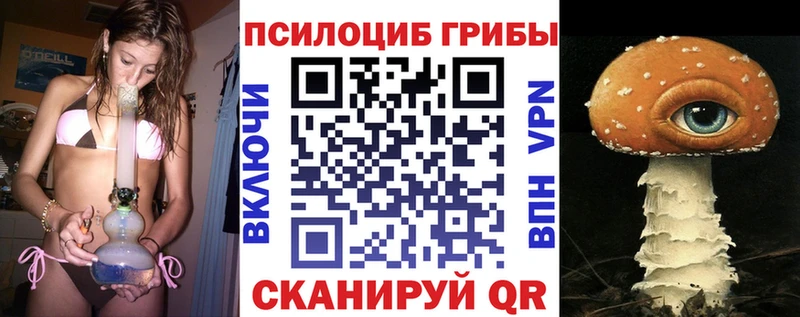 Галлюциногенные грибы Psilocybe  OMG маркетплейс  Алексеевка 